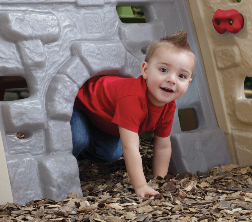 Step2 Alpine Ridge Climber & Slide™