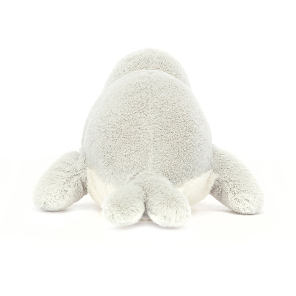 Jellycat Skidoodle Seal - H8cm-3