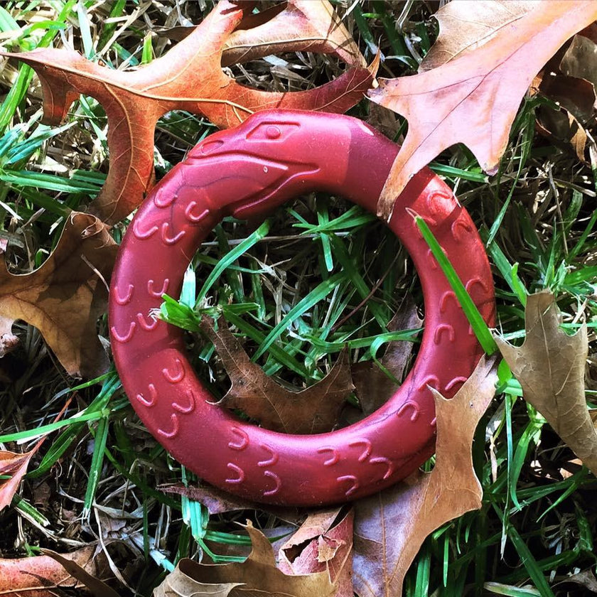 Helles Teeth Serpent Teether (Blazing Red) | Little Baby.