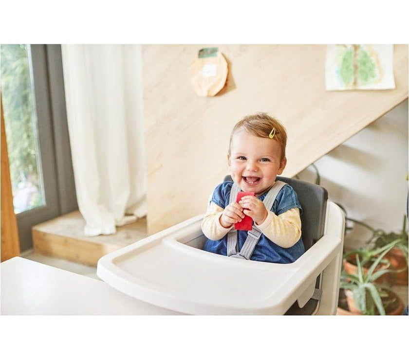 Nuna Zaaz PEWTER | Little Baby.