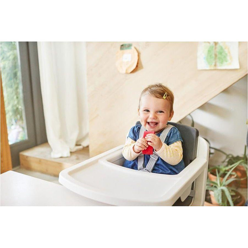 Nuna Zaaz PEWTER | Little Baby.