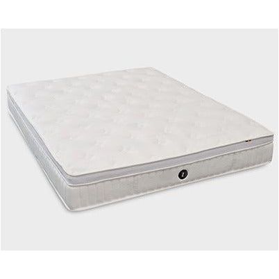 Sofzsleep Chiro Latex Mattress, H24cm | Little Baby.