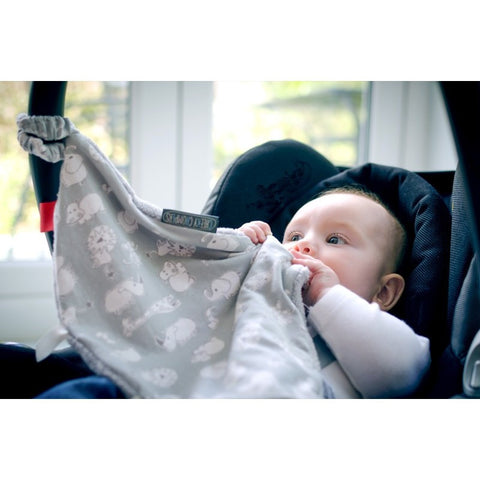 Cheeky Chompers Comfortchew Comforter | Little Baby.