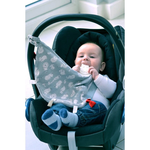 Cheeky Chompers Comfortchew Comforter | Little Baby.