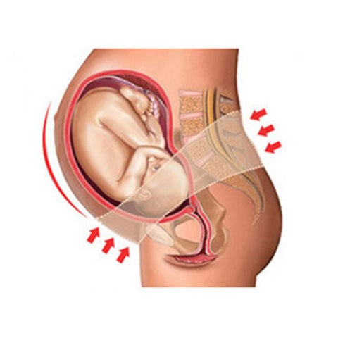 Lunavie Maternity Support Belt - 4 Sizes | Little Baby.