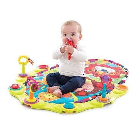 Playgro Connectablez Flexible Fun Gym | Little Baby.