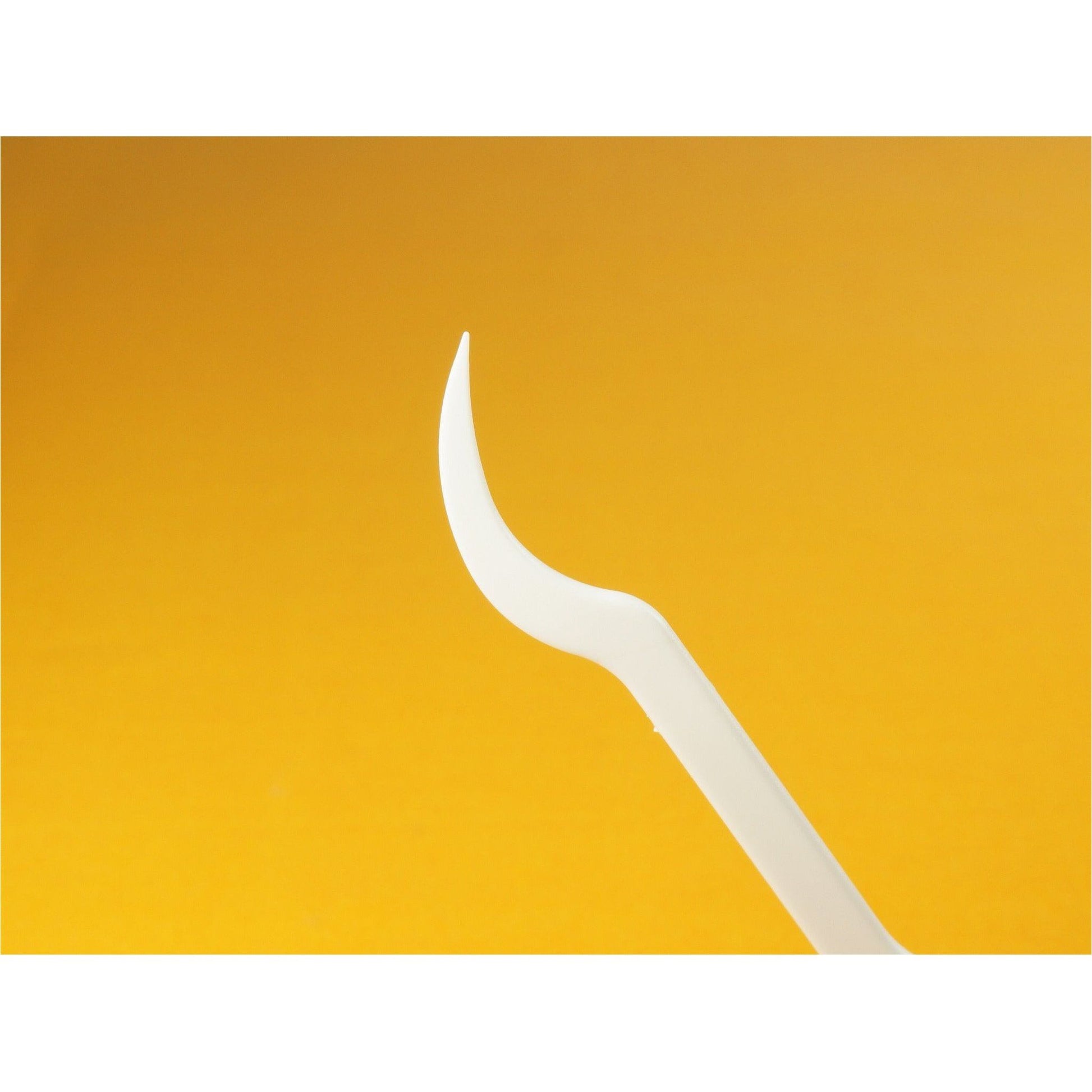 FlossPicks | Value 2-IN-1 Mint Flosser 24pcs | Little Baby.