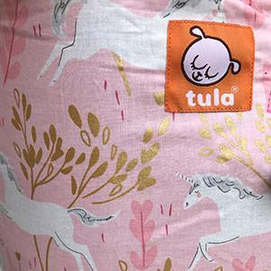 Frolic - Tula Baby Carrier (Standard) | Little Baby.