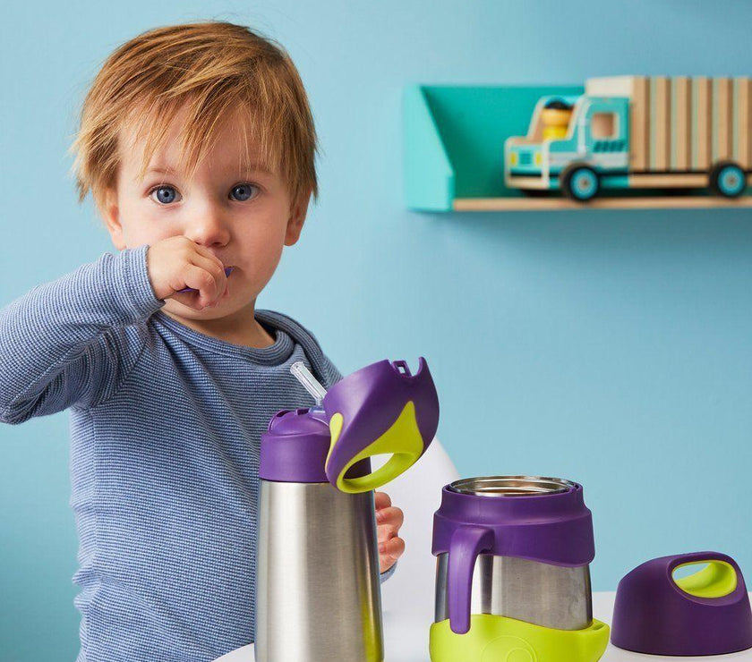 B.Box Insulated Food Jar - Passion Splash | Little Baby.