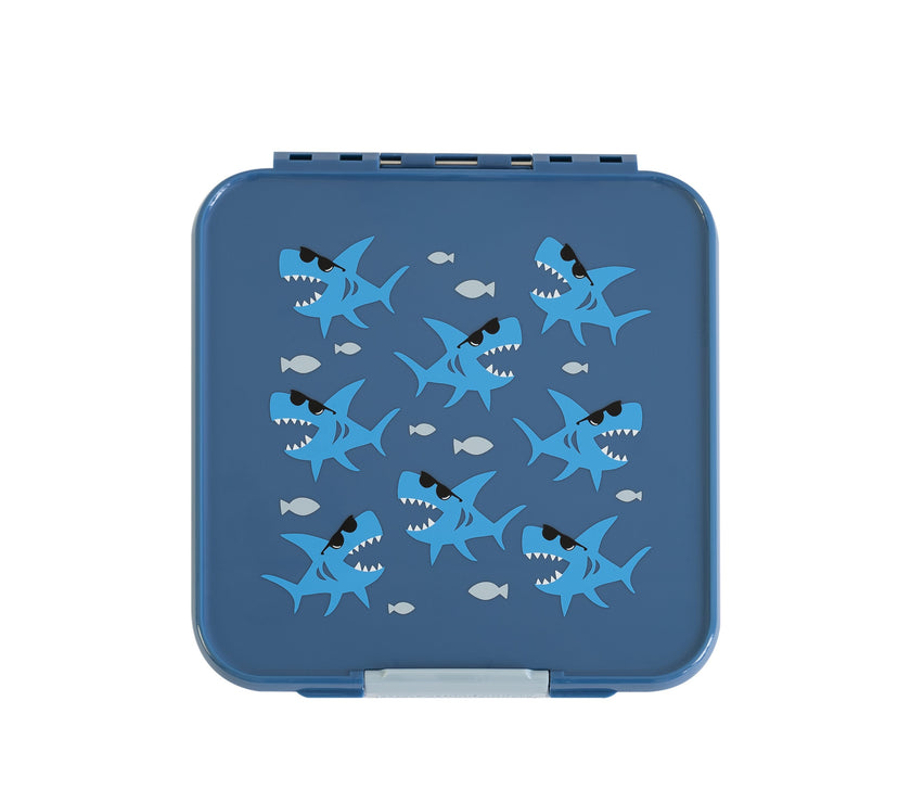 Little Lunch Box Co - Bento Five - Shark | Little Baby.