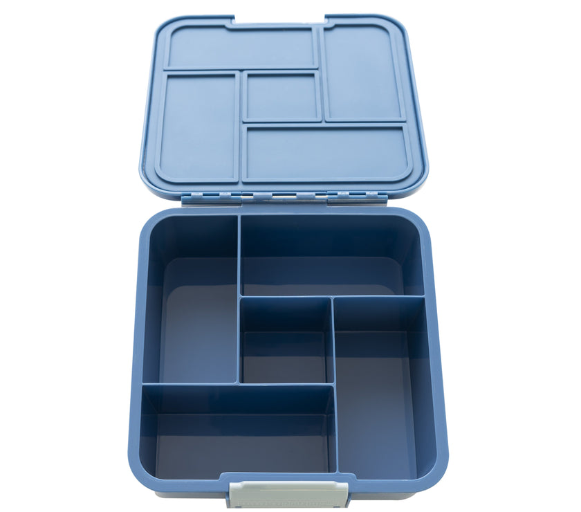 Little Lunch Box Co - Bento Five - Shark | Little Baby.