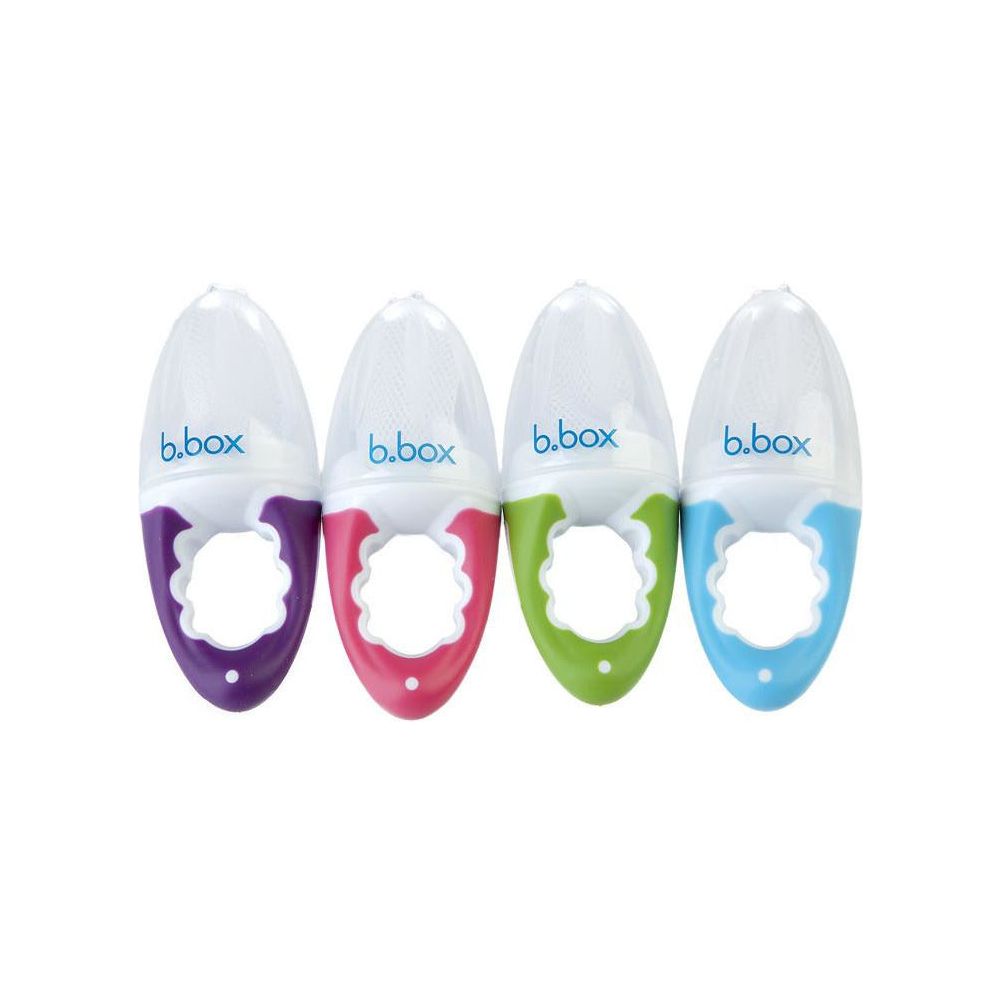 B.Box Fresh Food Feeder (Blueberry) | Little Baby.