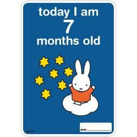 Milestone Baby Cards Miffy Edition | Little Baby.