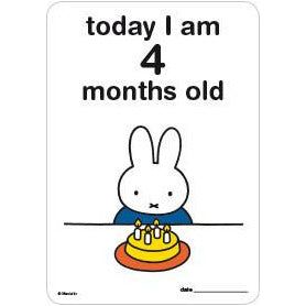 Milestone Baby Cards Miffy Edition | Little Baby.