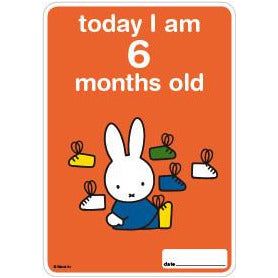 Milestone Baby Cards Miffy Edition | Little Baby.
