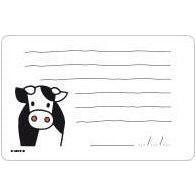 Milestone Mini Cards Miffy Edition (First Words And Quotes) | Little Baby.