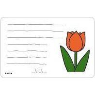 Milestone Mini Cards Miffy Edition (First Words And Quotes) | Little Baby.