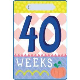 Milestone Pregnancy Cards | Little Baby.