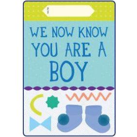 Milestone Pregnancy Cards | Little Baby.