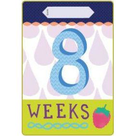 Milestone Pregnancy Cards | Little Baby.