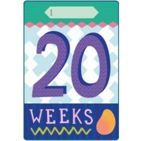 Milestone Pregnancy Cards | Little Baby.