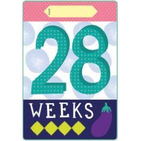 Milestone Pregnancy Cards | Little Baby.