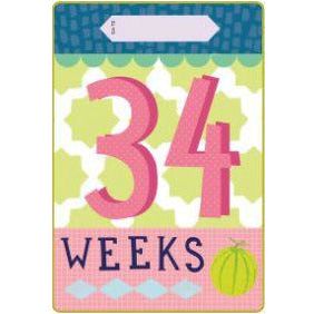 Milestone Pregnancy Cards | Little Baby.
