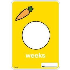 Milestone Pregnancy Cards - Miffy | Little Baby.