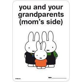 Milestone Pregnancy Cards - Miffy | Little Baby.