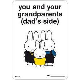 Milestone Pregnancy Cards - Miffy | Little Baby.