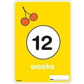 Milestone Pregnancy Cards - Miffy | Little Baby.