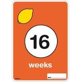 Milestone Pregnancy Cards - Miffy | Little Baby.