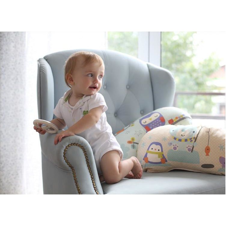 Ruco Organic Pillow  - Little Ben | Little Baby.