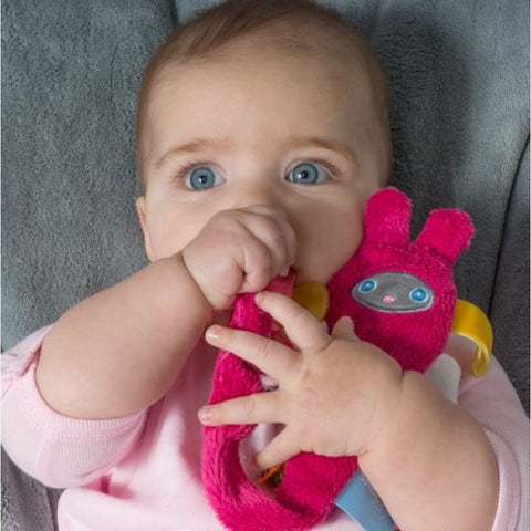 Snoozebaby Pacifier Clip - Nilo or Gila | Little Baby.
