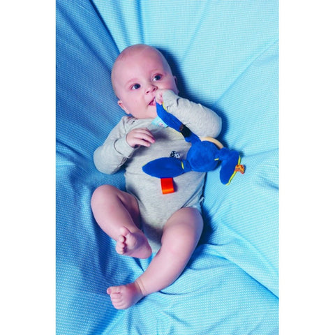 Snoozebaby Rattle | Little Baby.