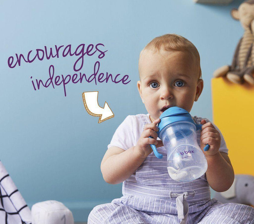 B.Box Sippy Cup CLASSIC 2019 - Blueberry | Little Baby.