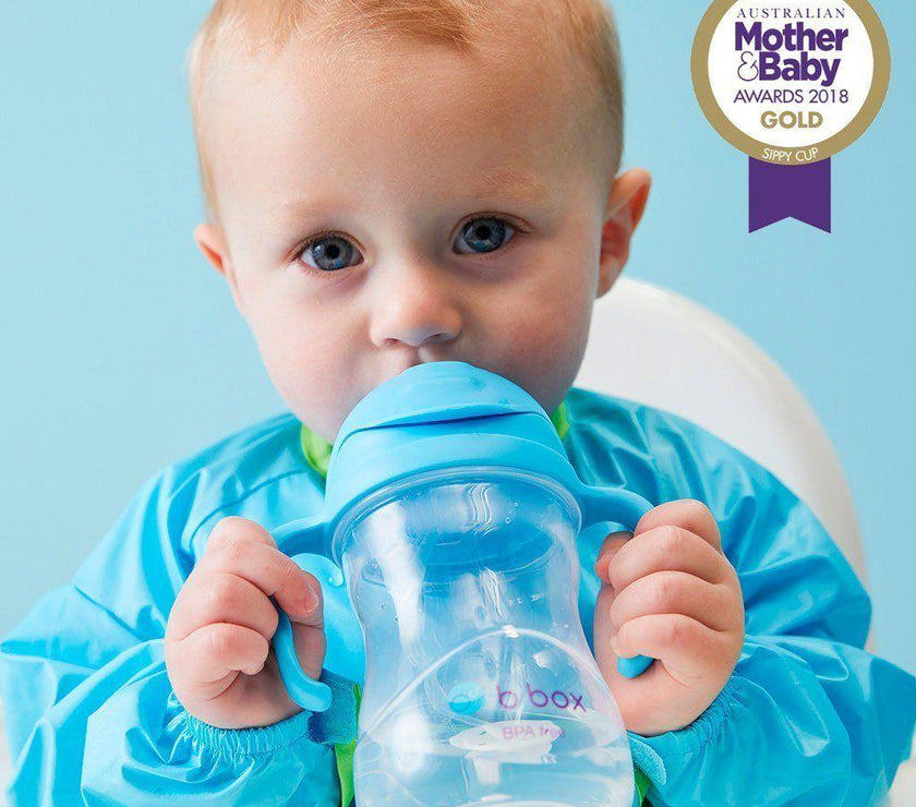 B.Box Sippy Cup CLASSIC 2019 - Blueberry | Little Baby.