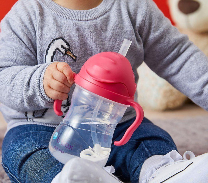 B.Box Sippy Cup CLASSIC 2019 - Raspberry | Little Baby.