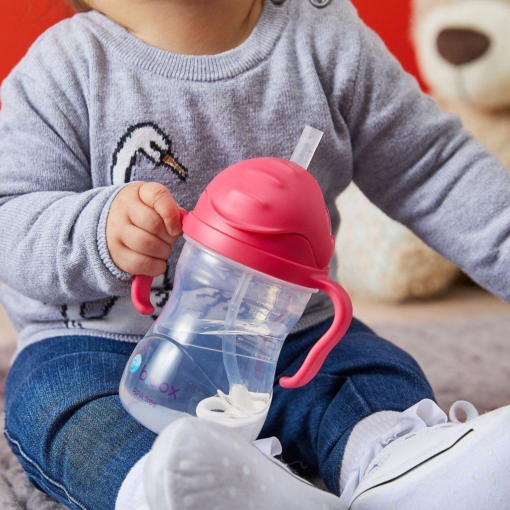 B.Box Sippy Cup CLASSIC 2019 - Raspberry | Little Baby.