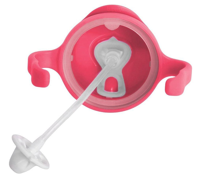 B.Box Sippy Cup CLASSIC 2019 - Raspberry | Little Baby.