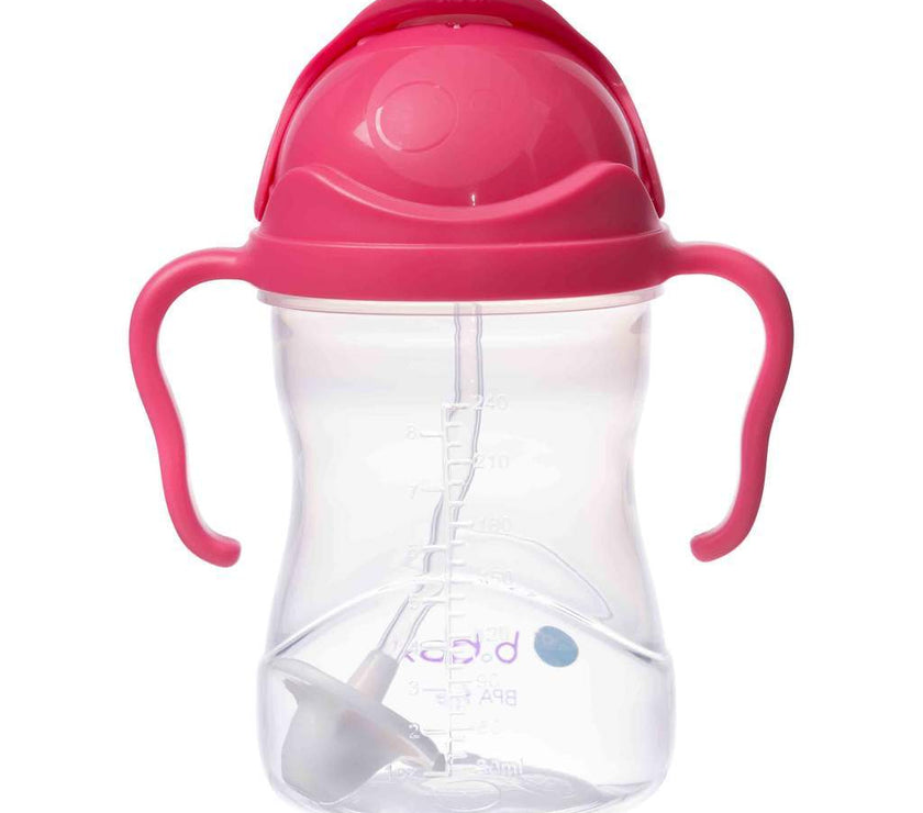 B.Box Sippy Cup CLASSIC 2019 - Raspberry | Little Baby.