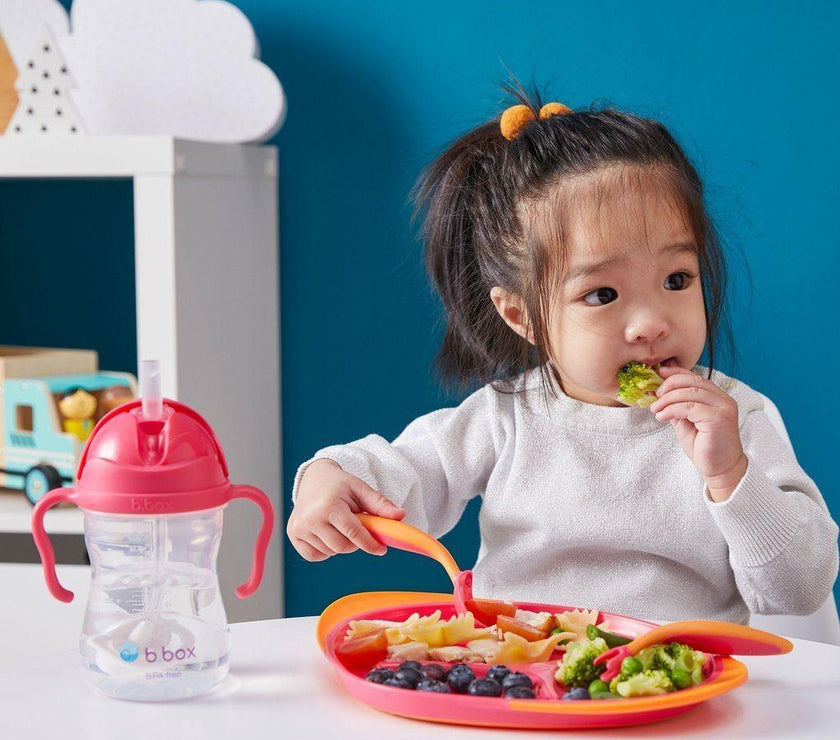 B.Box Sippy Cup CLASSIC 2019 - Raspberry | Little Baby.
