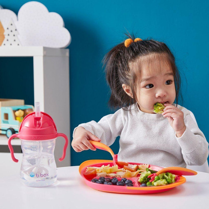 B.Box Sippy Cup CLASSIC 2019 - Raspberry | Little Baby.