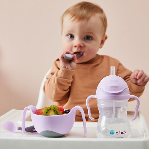 B.Box Sippy Cup Gelato - Boysenberry | Little Baby.