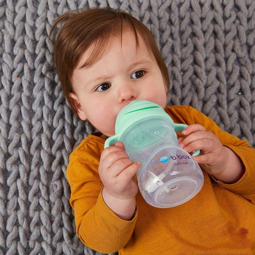 B.Box Sippy Cup Gelato - Pistachio (NEW) | Little Baby.