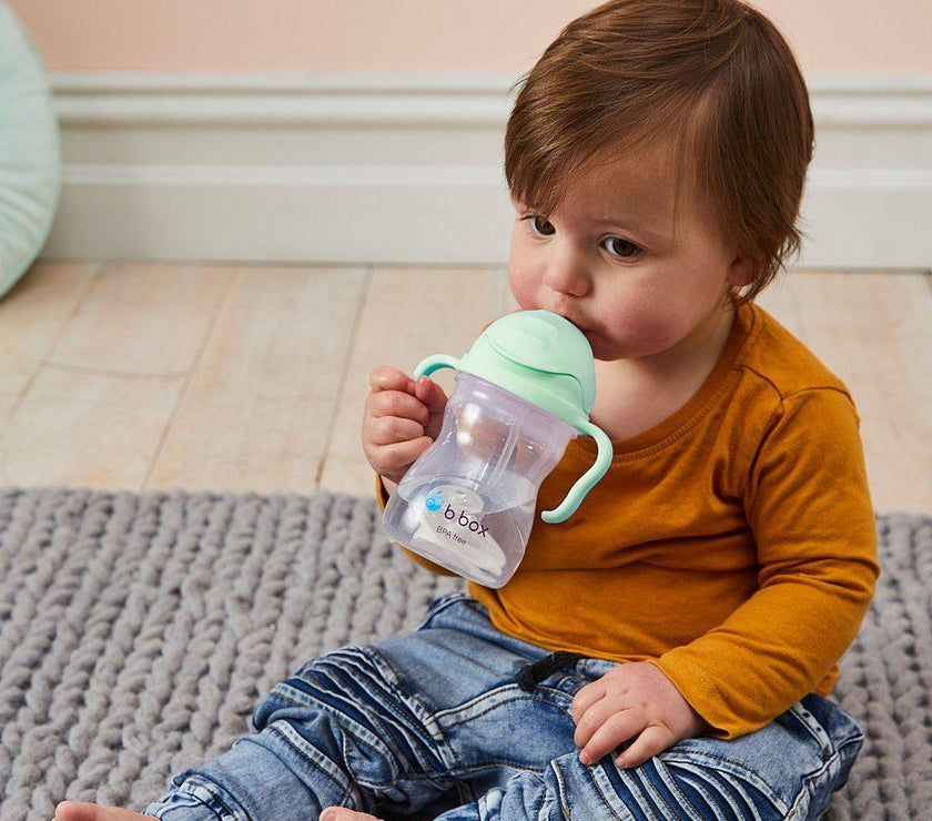 B.Box Sippy Cup Gelato - Pistachio (NEW) | Little Baby.