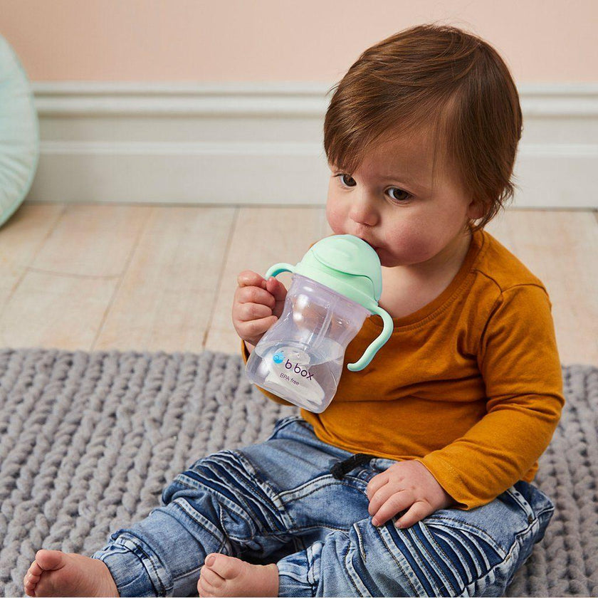 B.Box Sippy Cup Gelato - Pistachio (NEW) | Little Baby.