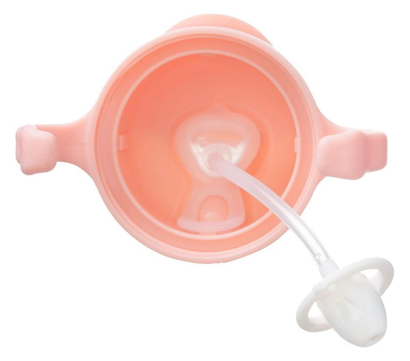 B.Box Sippy Cup Gelato - Tutti Frutti (NEW) | Little Baby.