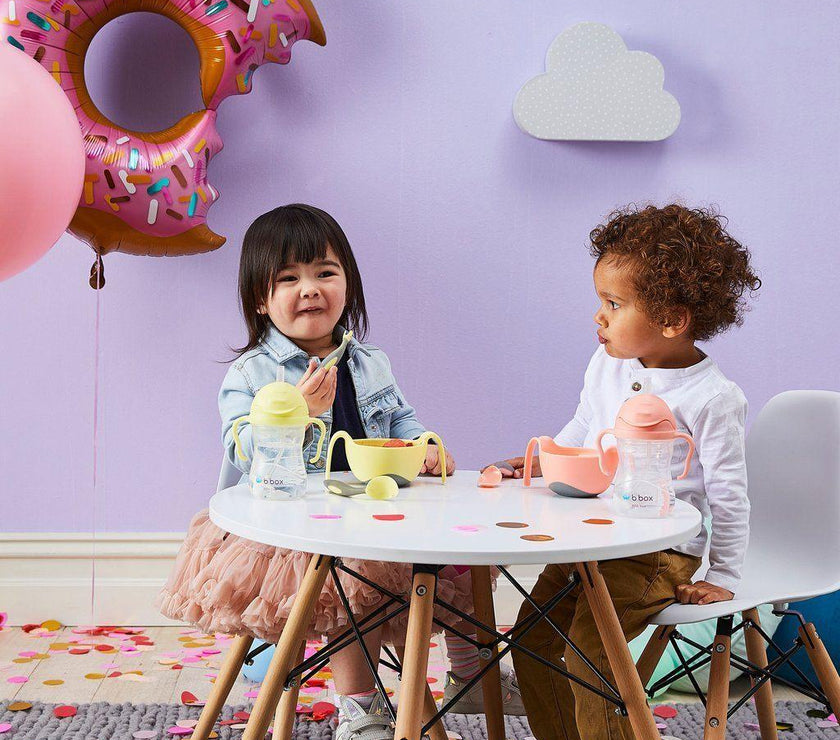 B.Box Sippy Cup Gelato - Tutti Frutti (NEW) | Little Baby.