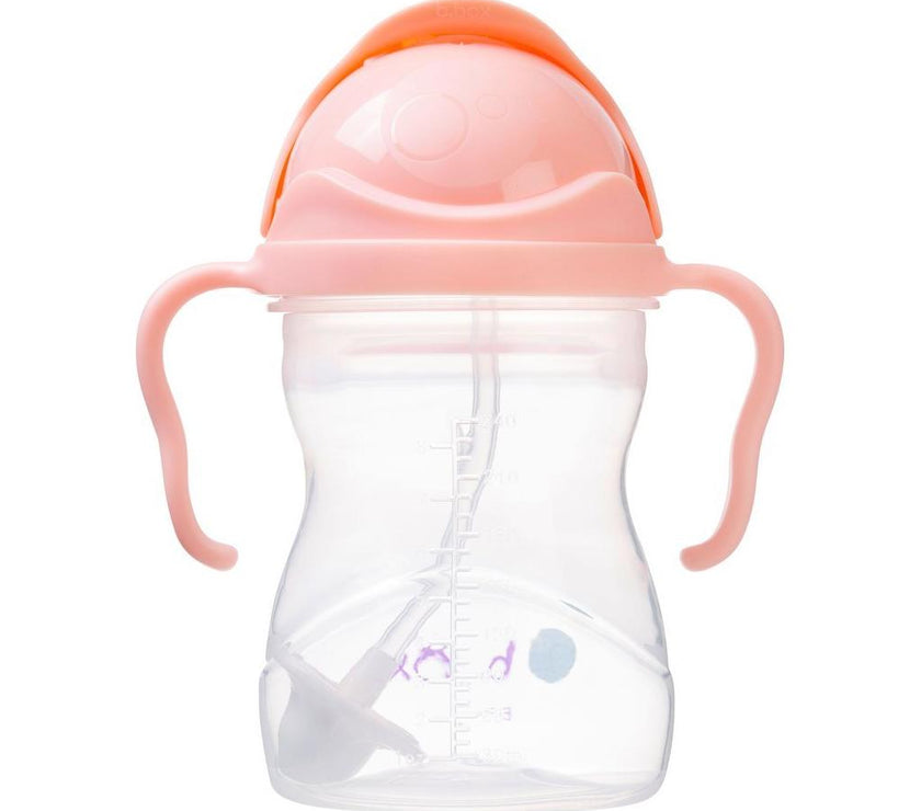 B.Box Sippy Cup Gelato - Tutti Frutti (NEW) | Little Baby.